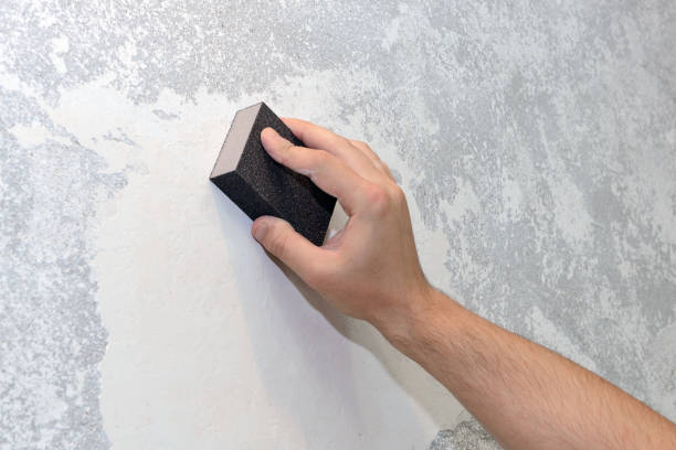 Best Residential Mold Inspection & Testing  in Tiburon, CA